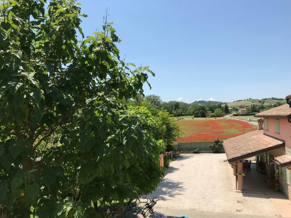 Tra i Campi Di Papaveri Medesano Exteriör bild