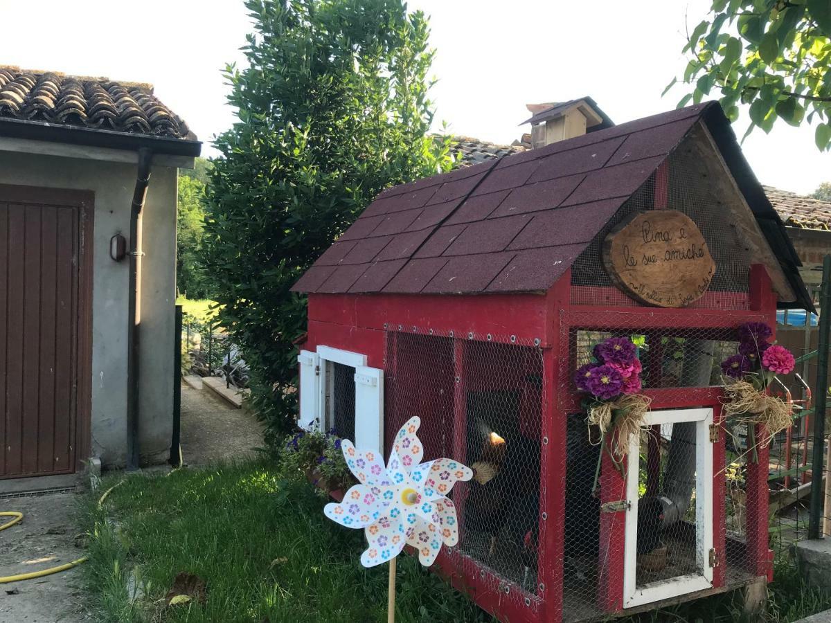 Tra i Campi Di Papaveri Medesano Exteriör bild